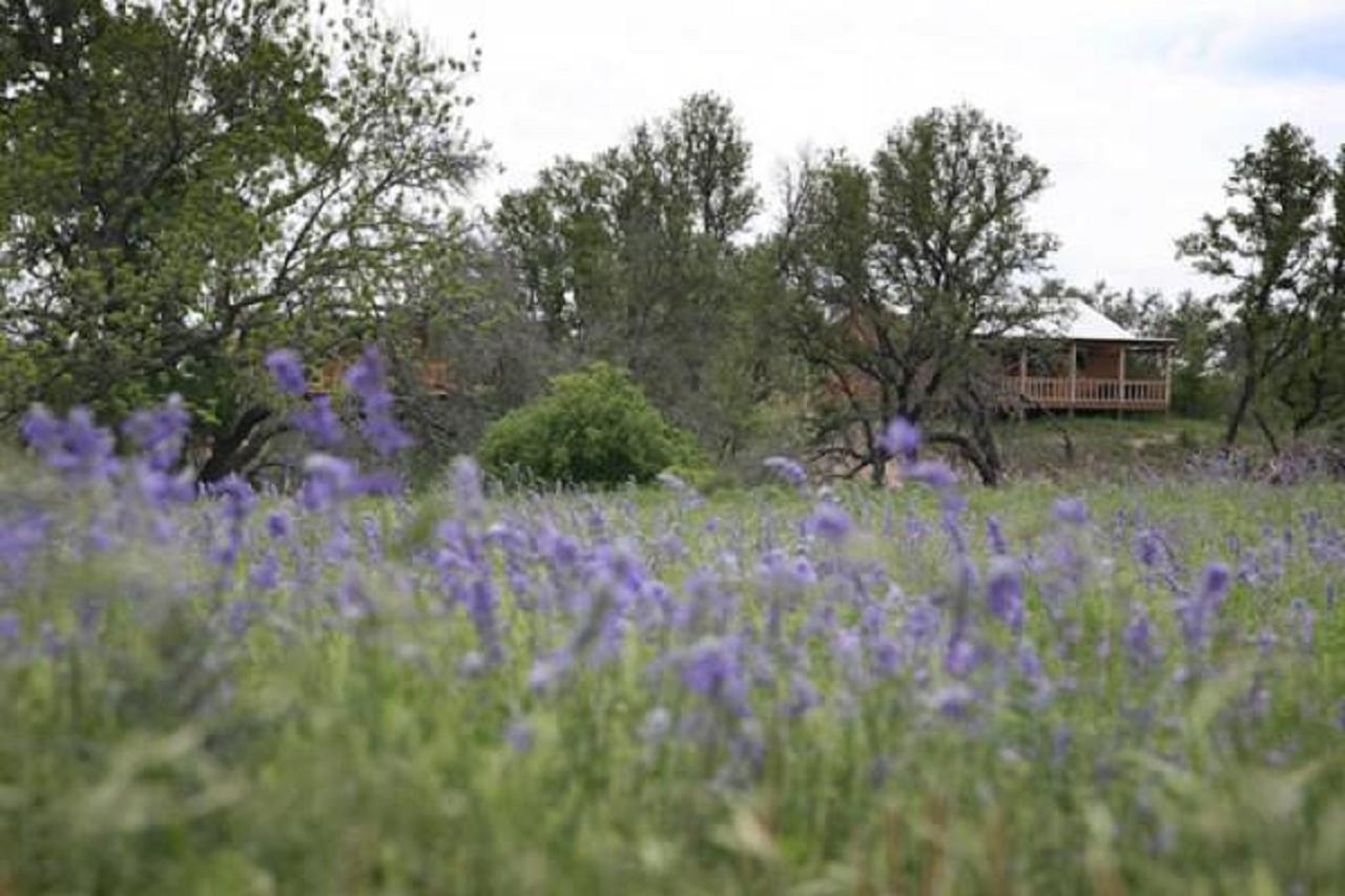 City On A Hill At Spring Creek Fredericksburg Exterior photo